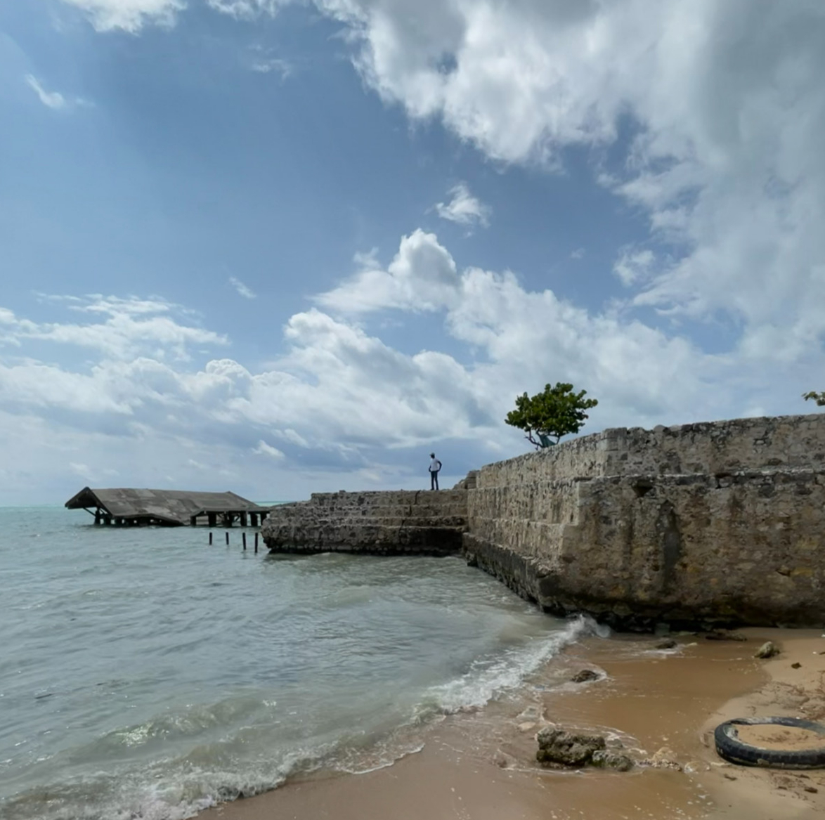 Fort of Savanna-la-Mar